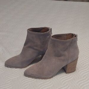 Genuine Suede Steve Madden Light Taupe Booties